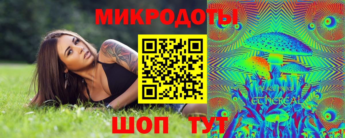 Псилоцибиновые грибы Psilocybe Качканар