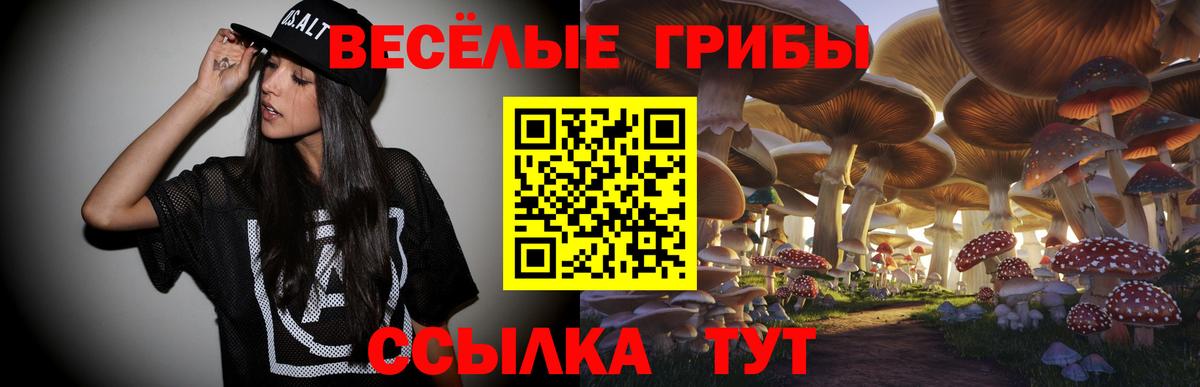 дарнет шоп  Вход с VPN  Качканар  Псилоцибиновые грибы Psilocybe 